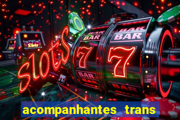 acompanhantes trans baixada fluminense